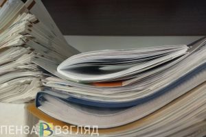 Пензенцам рассказали о привилегиях для многодетных родителей в отпуске