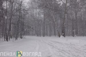 Синоптики обещают сильный снег в Пензенской области 4 февраля