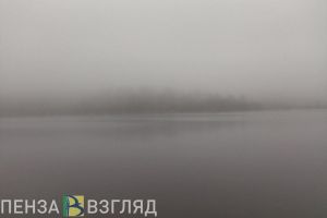 В ближайшие 3 часа на Пензенскую область опустится густой туман