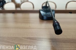 В Пензе создают комиссию по регулированию социально-трудовых отношений
