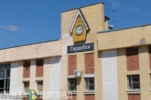 В Сердобске и Земетчино выросло количество забеременевших женщин