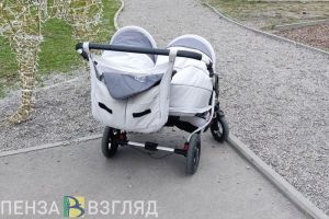 Неработающим пензенцам напомнили, как с 1 февраля получать больше 10 000 рублей