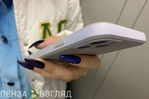Пензенцам назвали ТОП-10 электронных государственных услуг в регионе