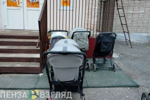 Жителям Пензенской области рассказали, как сэкономить на детях