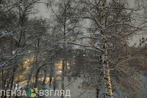6 февраля жителей Пензенской области ждет мороз до -13 градусов