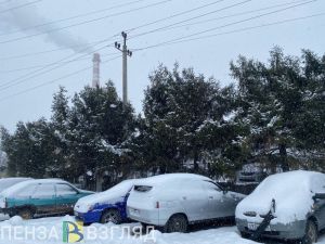 В Пензе водитель устроил погоню и стал виновником смертельного ДТП