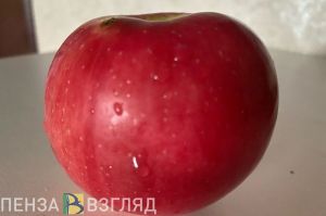Пензенский Роспотребнадзор проверил фрукты и овощи на ГМО