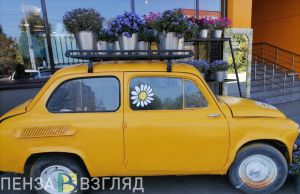В январе из Пензенской области в другие регионы отправили 248 тысяч цветов