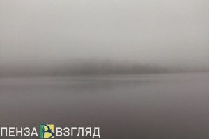 10 февраля на территорию Пензенской области опустится густой туман