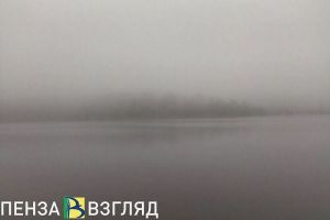 11 февраля синоптики прогнозируют в Пензенской области густой туман