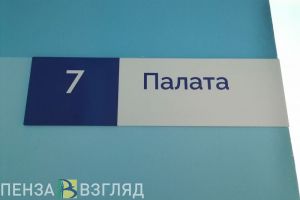 Кукловод и психиатр: в Пензенской области назвали остродефицитные должности