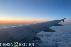 У самолета Москва-Пенза возникли проблемы с системой предупреждения столкновений