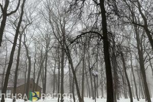 Густой туман опустится на Пензенскую область 12 февраля