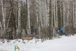 Златогорский ответил на вопросы кузнечан о камерах на кладбищах