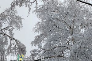 Пензенцы узнали прогноз Вильфанда о похолодании и температуре ниже нормы