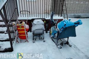 На выплаты многодетным семьям Пензы выделили 3,2 млн рублей