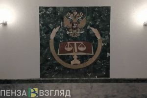 В Тамалинском районе вынесли приговор пенсионеру, ударившему подростка