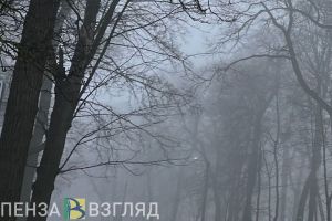 13 февраля Пензенскую область окутает густой туман