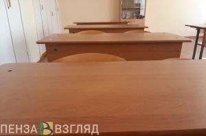 Пензенская область может попасть в список регионов с упрощенным ОГЭ