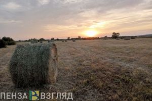 Пензенцев приглашают к участию в фотоконкурсе «Самая красивая страна» (6+)