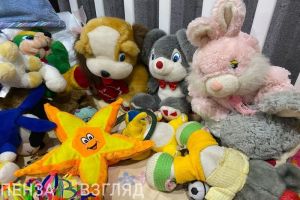 Мера поддержки многодетным, найденная брошенная семимесячная девочка, штрафы за выгул животных – подборка новостей за 14 февраля