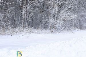 В субботу в Пензенской области пройдет мощный снегопад