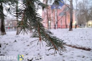 Синоптики подготовили прогноз погоды для Пензенской области на 15 февраля