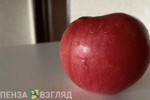 На закладку фруктовых деревьев в Пензе и области выделено более 91 млн рублей
