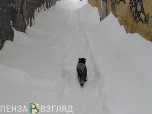 16 февраля в Пензенской области ударит 15-градусный мороз с сильным снегом