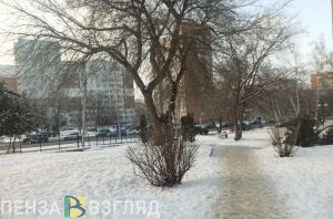 В Пензенской области в ночь на 17 февраля ожидается мороз до -23 градусов