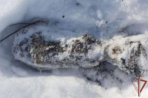 В Пензе на улице Измайлова нашли мину времен Великой Отечественной войны