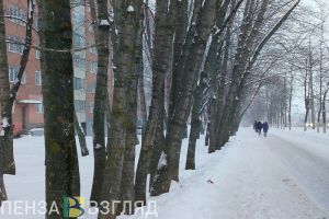 В Пензенской области 19 февраля сохранится морозная погода
