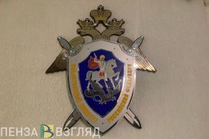 Бастрыкин потребовал проверить, нарушаются ли права пензенского подростка
