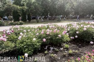 В Городище благоустроят сквер «Победы»