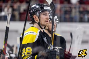 «Дизель» проиграл в Пензе «Челмету»