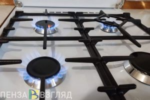 Жителей Пензенской области заставят пускать в дом газовщиков для проверки плит