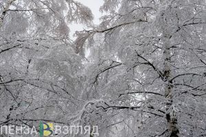 Снег и 20-градусный мороз проверят пензенцев на прочность: прогноз на 20 февраля