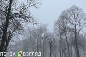 Густой туман накроет территорию Пензенской области 21 февраля