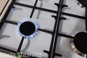 Пензенских малоимущих хотят освободить от платы за обслуживание газовых плит