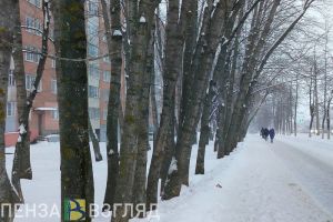 Мороз без солнца - день воскресный: прогноз для Пензенской области на 23 февраля