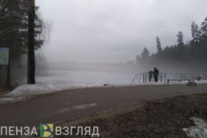 Туман и морозы до -19 градусов ждут Пензенскую область 25 февраля
