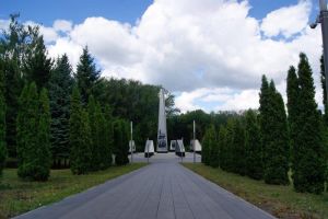 Пензенцы узнали, когда начнется 2-й этап благоустройства парка «40 лет Победы»