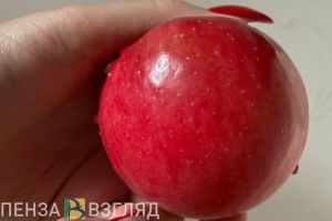 Пензенский врач рассказала о секретах крепкого иммунитета