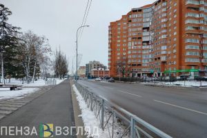 В городской Думе депутаты поспорили об ухоженности Пензы