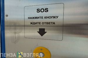 Пензенскую полицию попросили увеличить личное присутствие в общественных местах