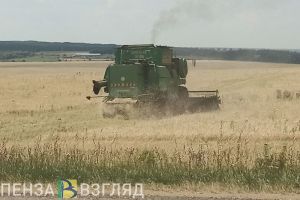 В Мокшанском районе планируют построить зерносушильный комплекс