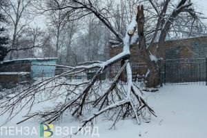5 марта в Пензенской области объявлен желтый уровень погодной опасности