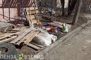 В Пензенской области проведут капремонт 15 школ