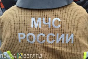 В Пензе спасли двух людей из пожара на проспекте Строителей
