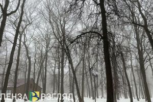 Ночью 6 марта Пензенскую область накроет густой туман